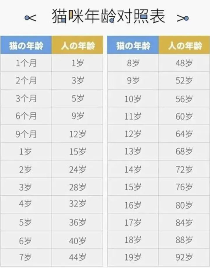 猫咪寿命对照表新出炉