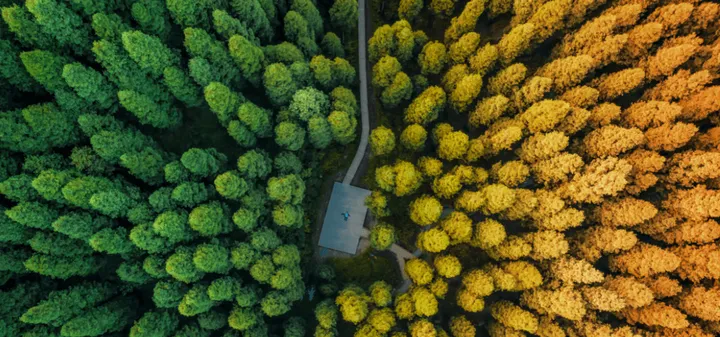 如何才能有效利用线条拍大片?