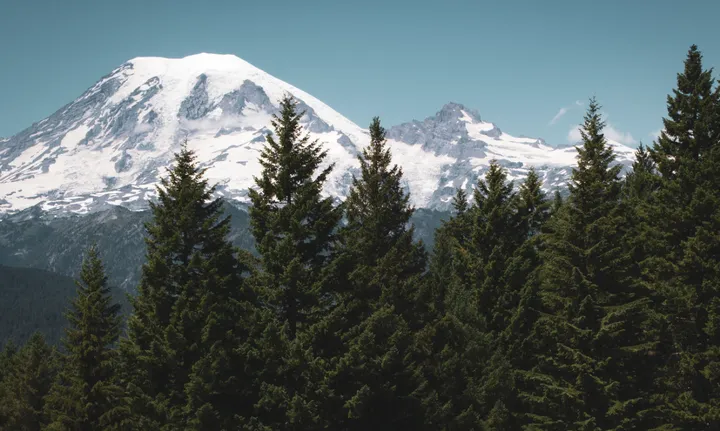 雷尼尔山国家公园之美