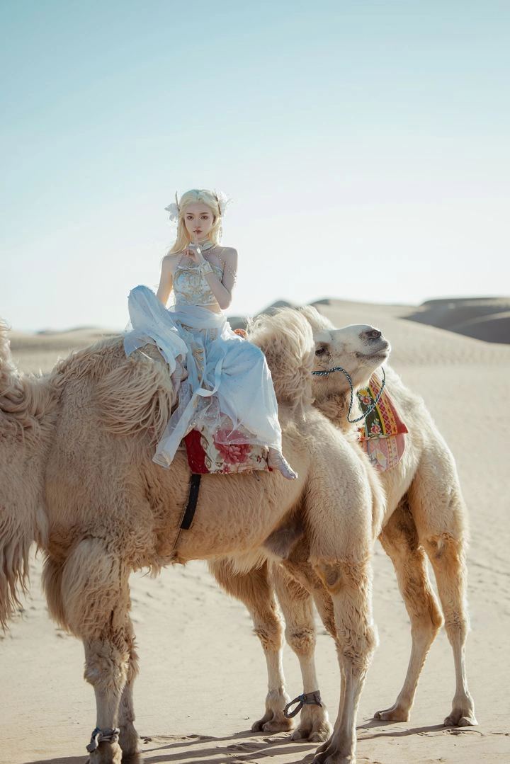 国际审美上的西域女孩