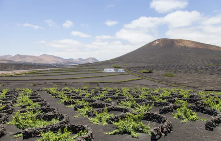 海与火山的秘密天堂