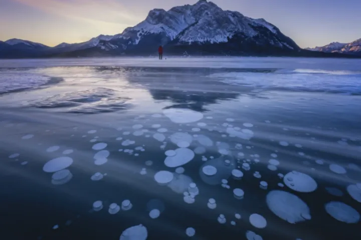 探访冬季亚伯拉罕湖，探寻冰雪世界的生态密码