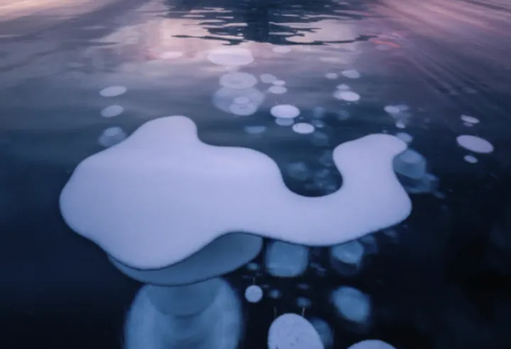 探访冬季亚伯拉罕湖，探寻冰雪世界的生态密码