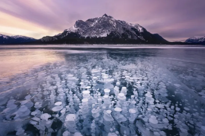 探访冬季亚伯拉罕湖，探寻冰雪世界的生态密码