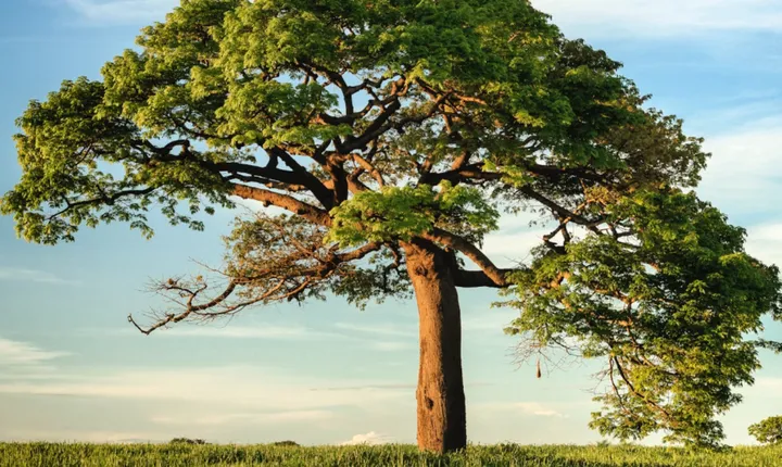 旺自己的玄学妙招