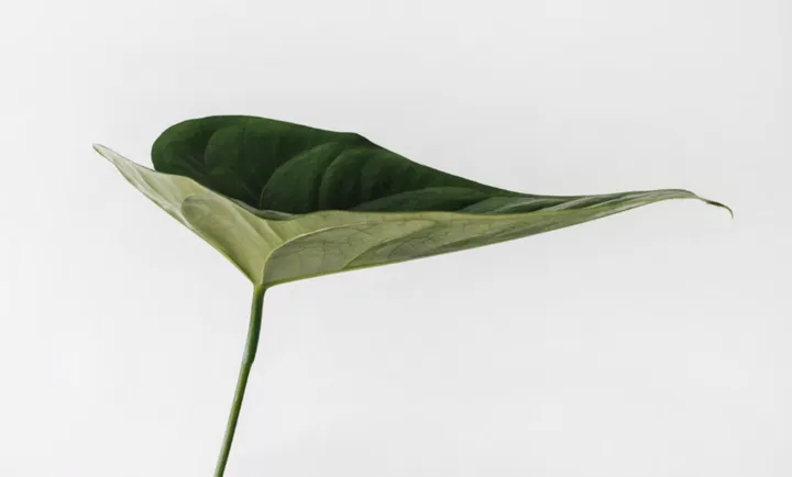 旺自己的玄学妙招