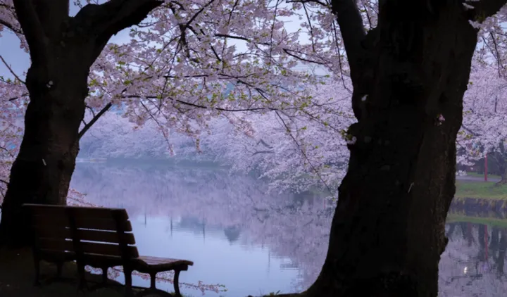 超准的性格测试!