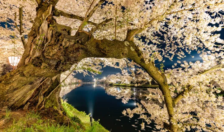 超准的性格测试!