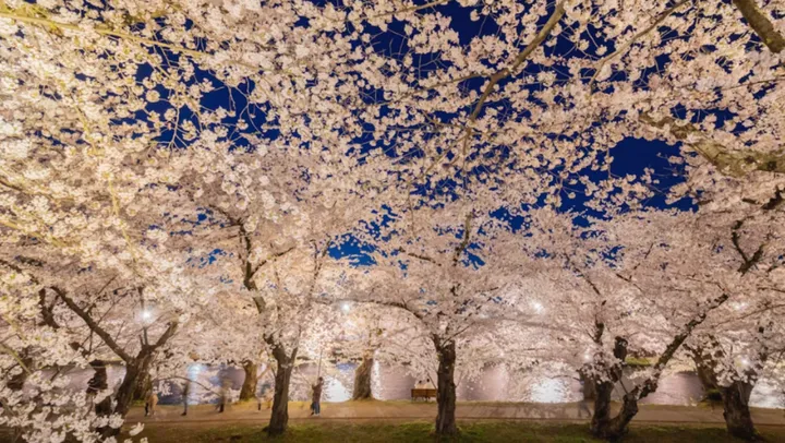 超准的性格测试!