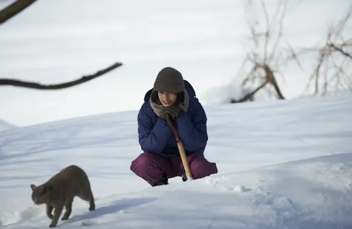 日本高分治愈电影