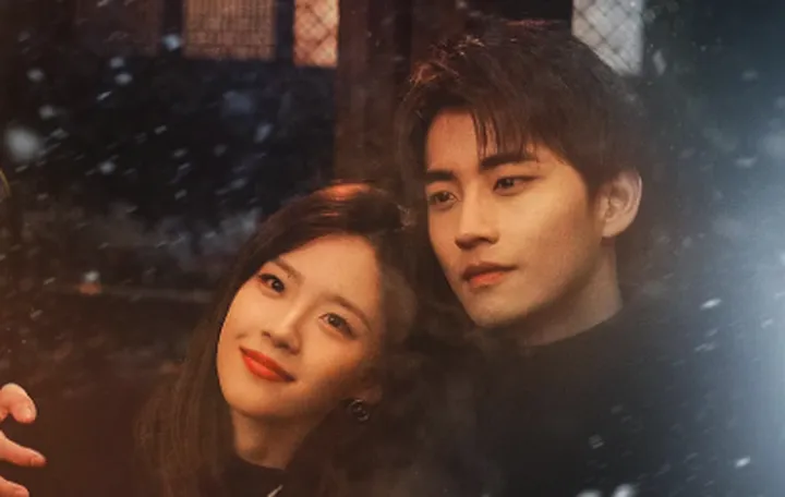 治愈系宝藏电视剧