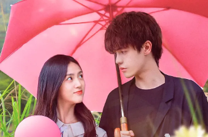 治愈系宝藏电视剧