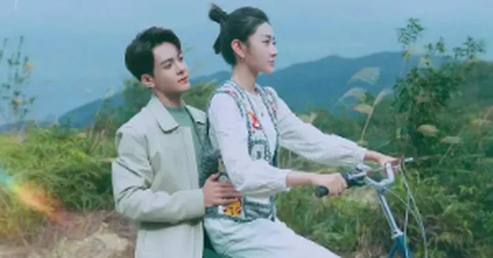 治愈系宝藏电视剧