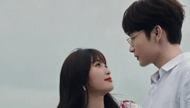 治愈系宝藏电视剧