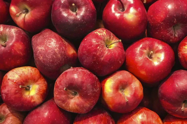 古代的苹果不叫“苹果”