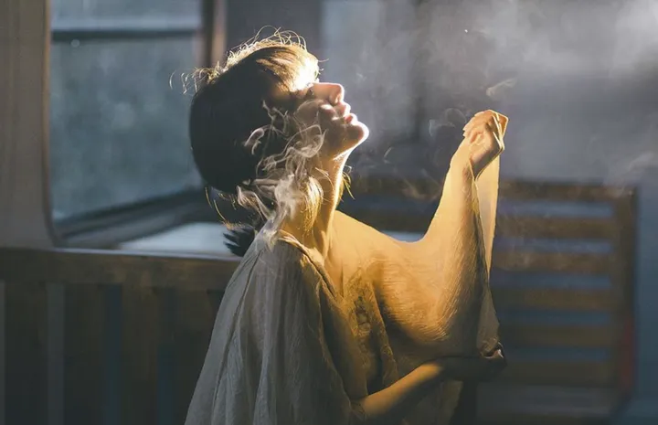 闲来无事,只为花忙