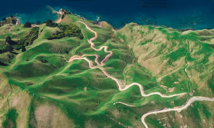 讣告的“讣”怎么读?