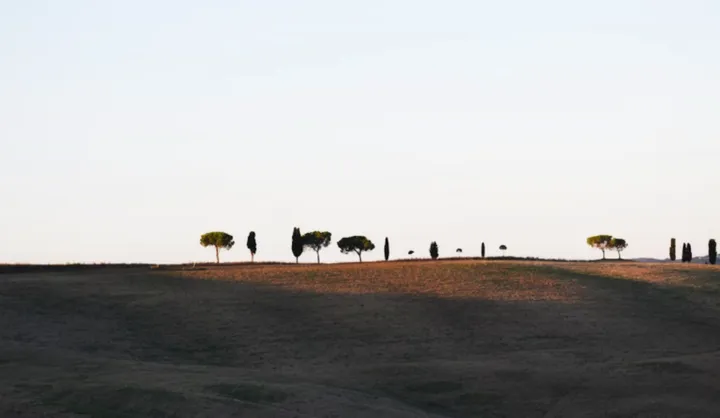 讣告的“讣”怎么读?