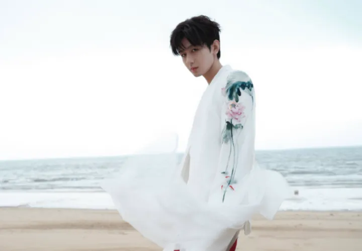 成毅是如何红遍全网的