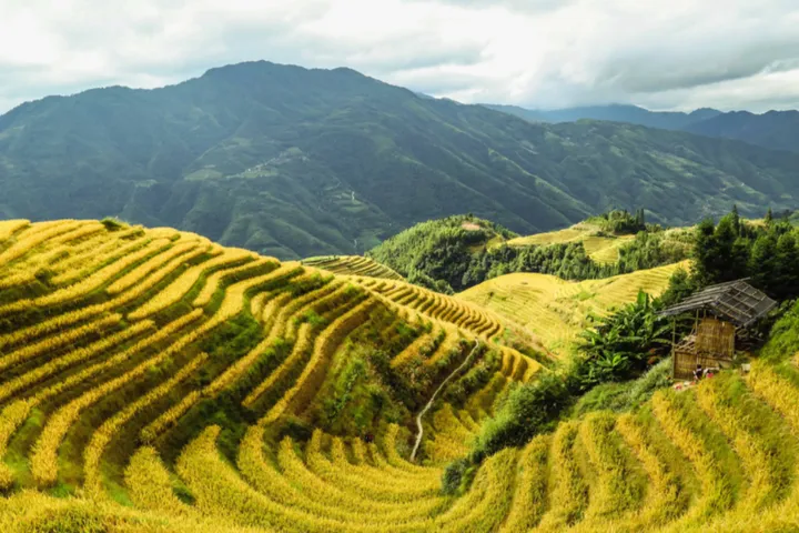 最美人间四月天