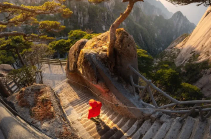 最美人间四月天