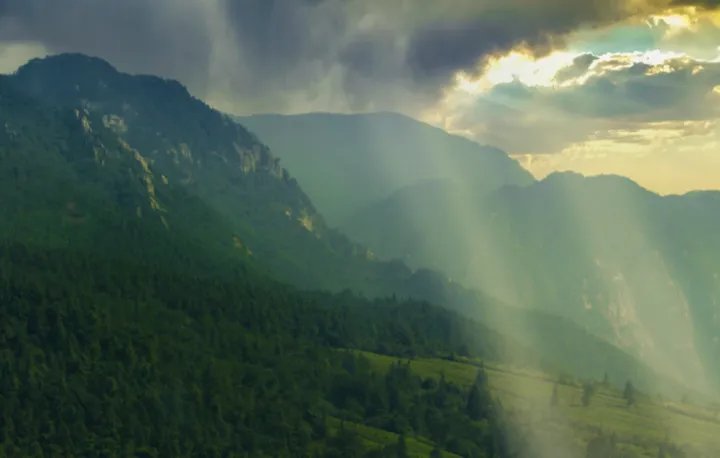 最美人间四月天