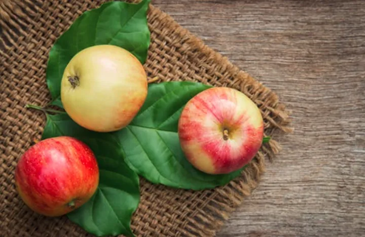 血压高适合吃什么水果