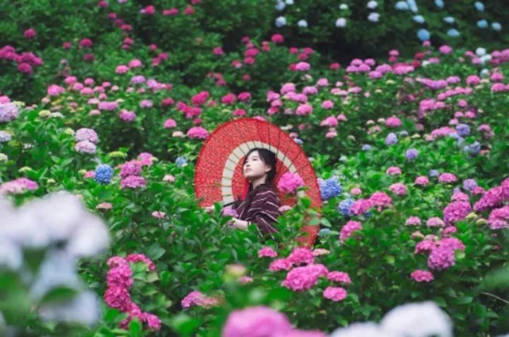 同居前的必备思考清单,更近一步了解还是潜在的隐患?