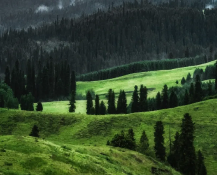 大地艺术品聚集地