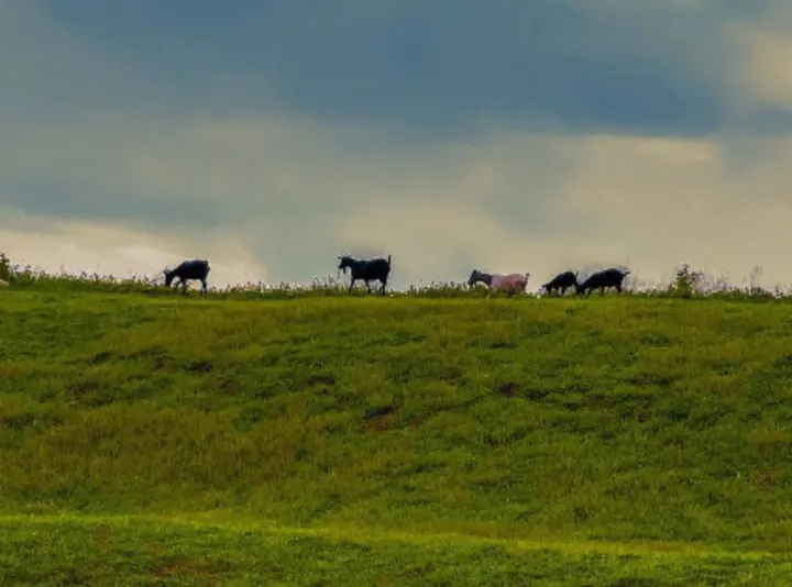大地艺术品聚集地