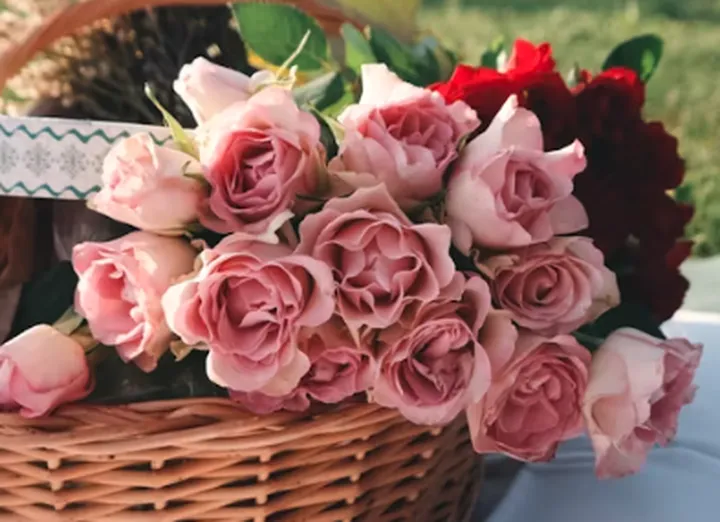 送现金花束违法吗