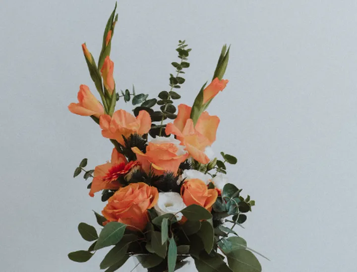 送现金花束违法吗