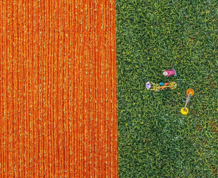 热带风情下的甘甜宝藏