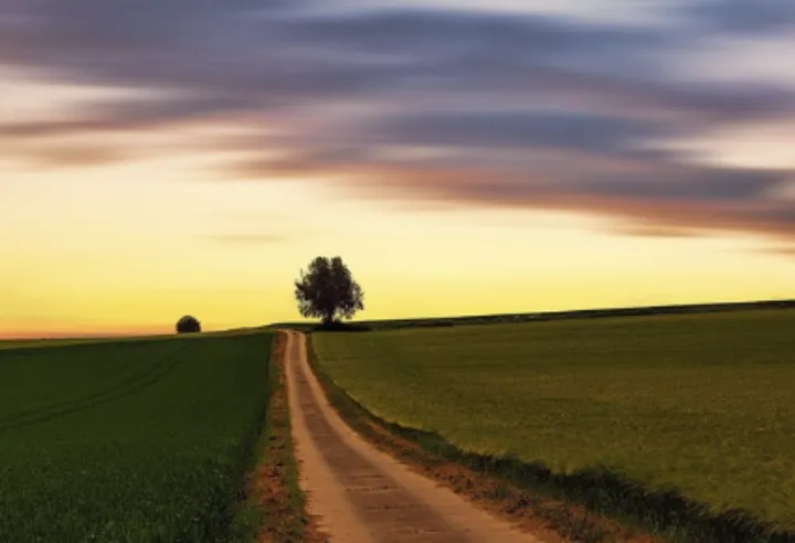 揭秘夏日凉爽穿衣法：为何红色衣服更胜一筹？