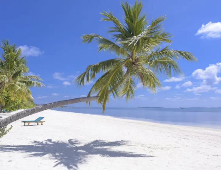 揭秘夏日凉爽穿衣法：为何红色衣服更胜一筹？