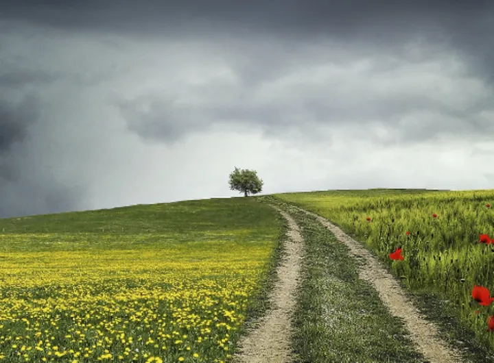 揭秘夏日凉爽穿衣法：为何红色衣服更胜一筹？