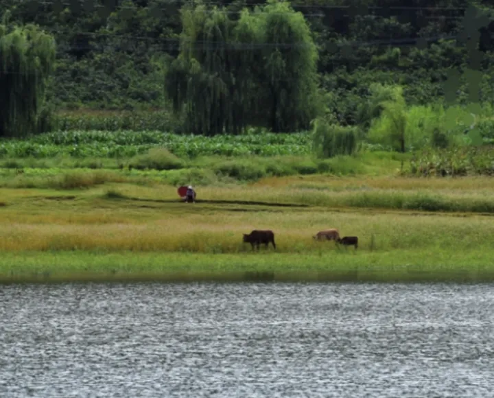 四川被低估的宜居小城,风景优美物价低廉!