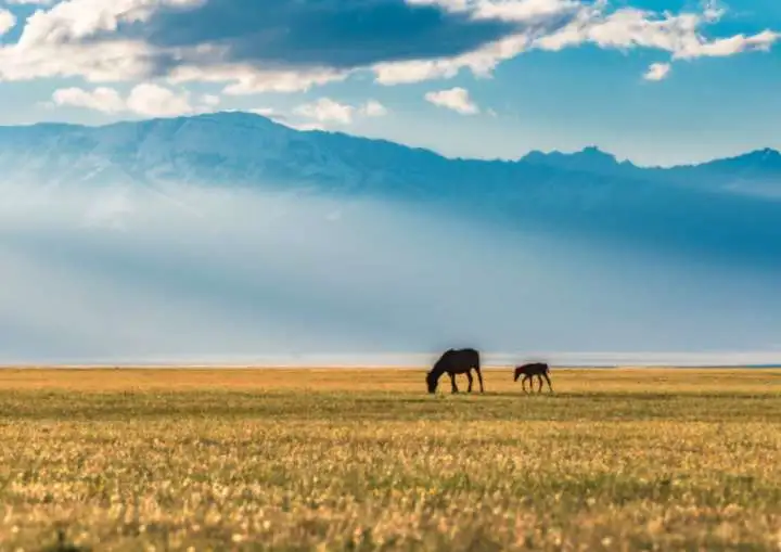湖光山色的浪漫之旅