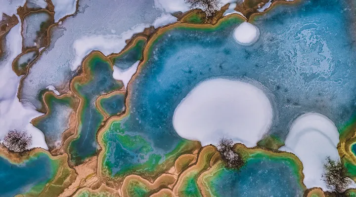 从地下浸开的“花”