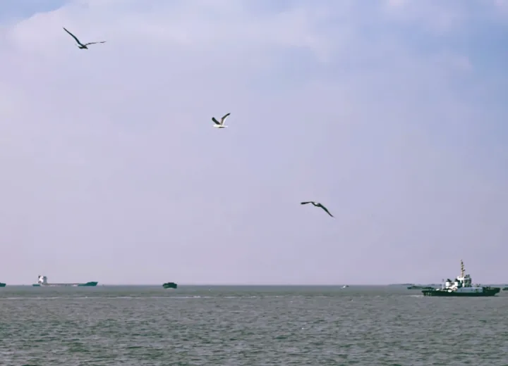 夏日海边亲子游指南