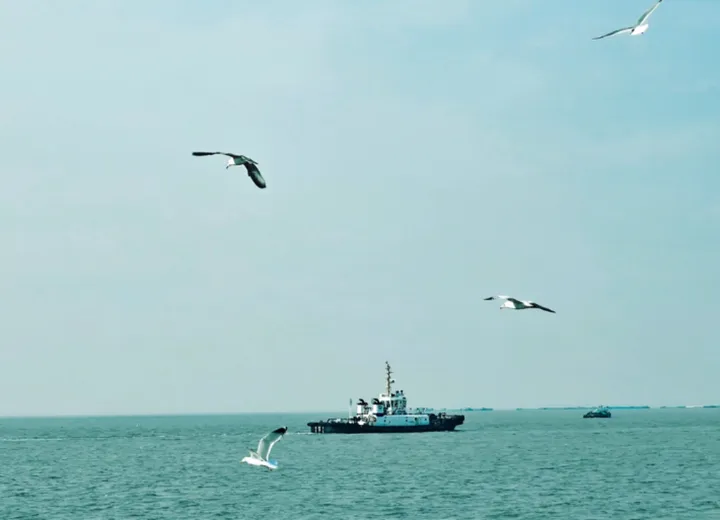 夏日海边亲子游指南