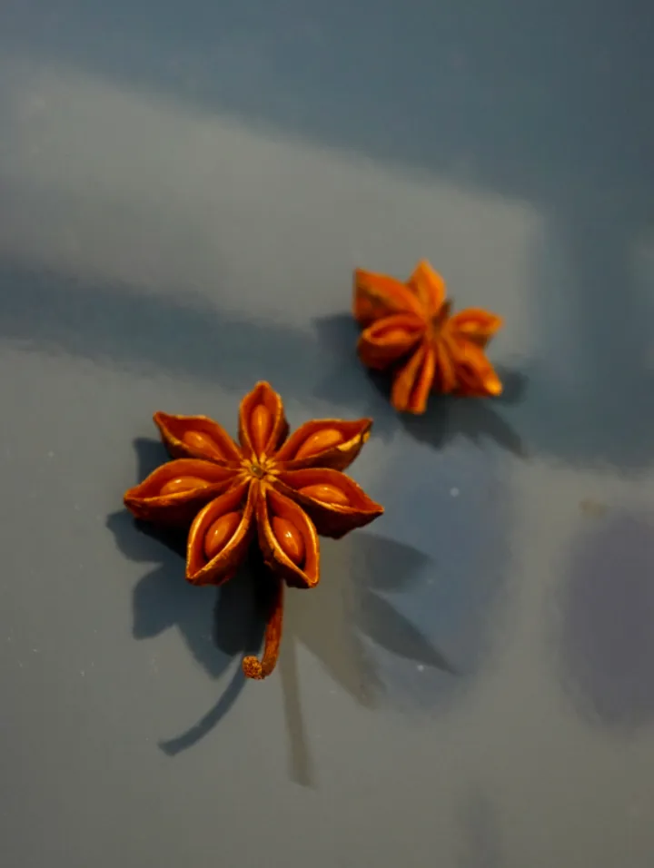 “假”八角有多可怕