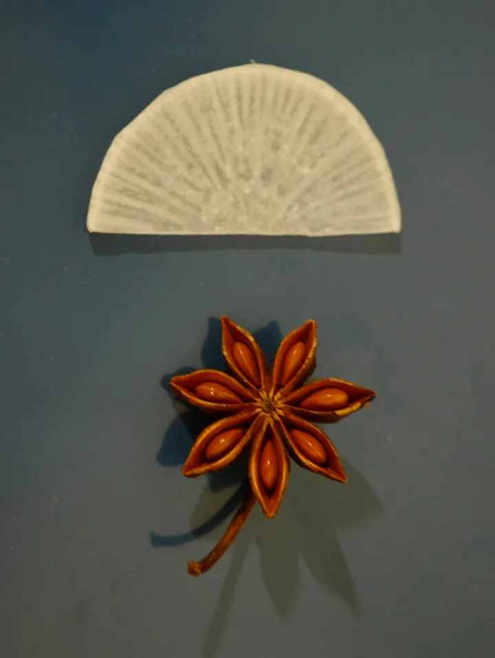 “假”八角有多可怕