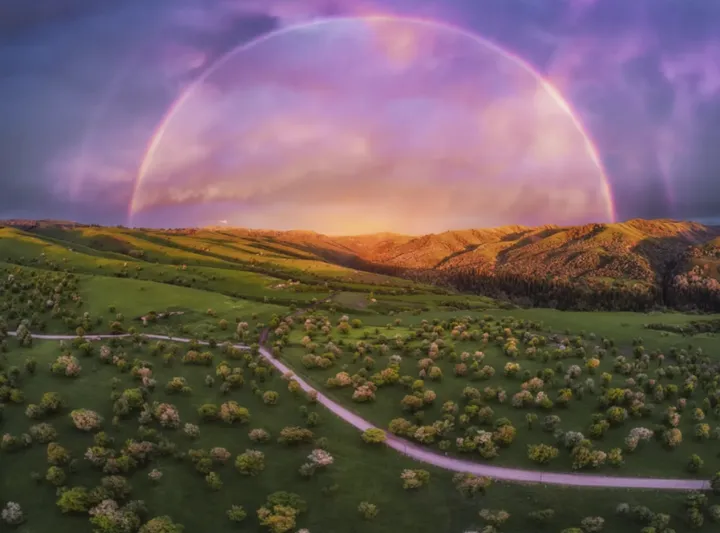 新疆萨哈野果林