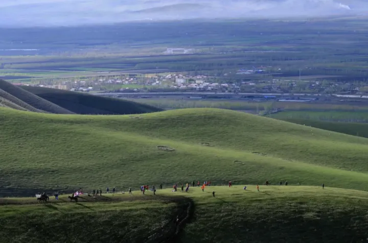 新疆萨哈野果林