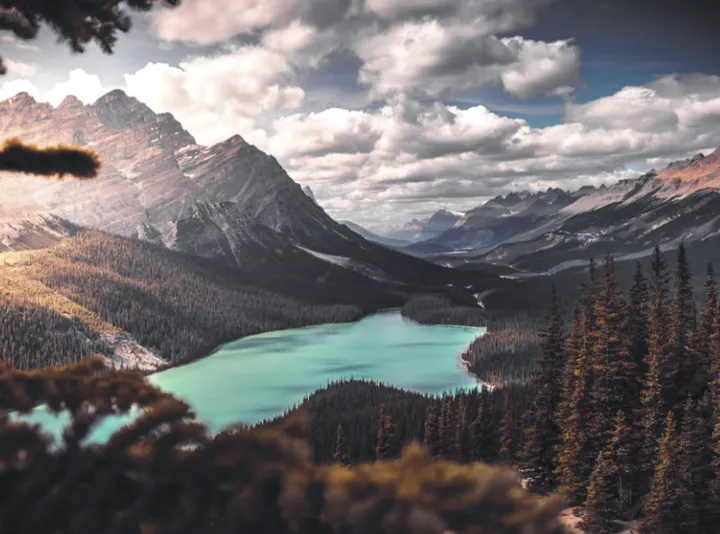 沟通的艺术:如何用三明治和ABC法提升表达力?