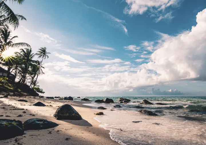 沟通的艺术:如何用三明治和ABC法提升表达力?