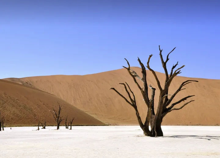 穿越沙海,探索那些关于沙漠的鲜为人知秘密