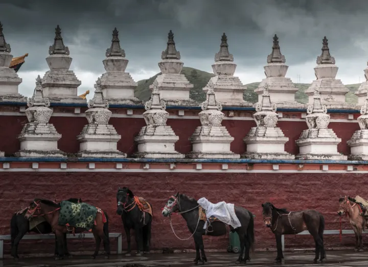 川西文化的魅力探索