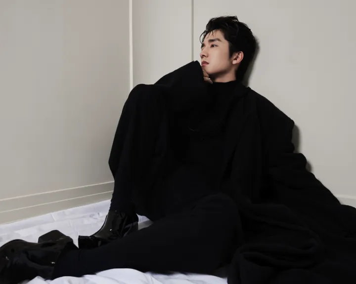 张新成的影视探索记